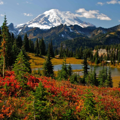 Mt Rainier Leaf Peeping.jpg