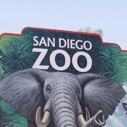 San Diego Zoo 3